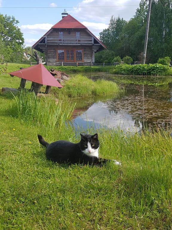 Bellas Namins Цесис Экстерьер фото